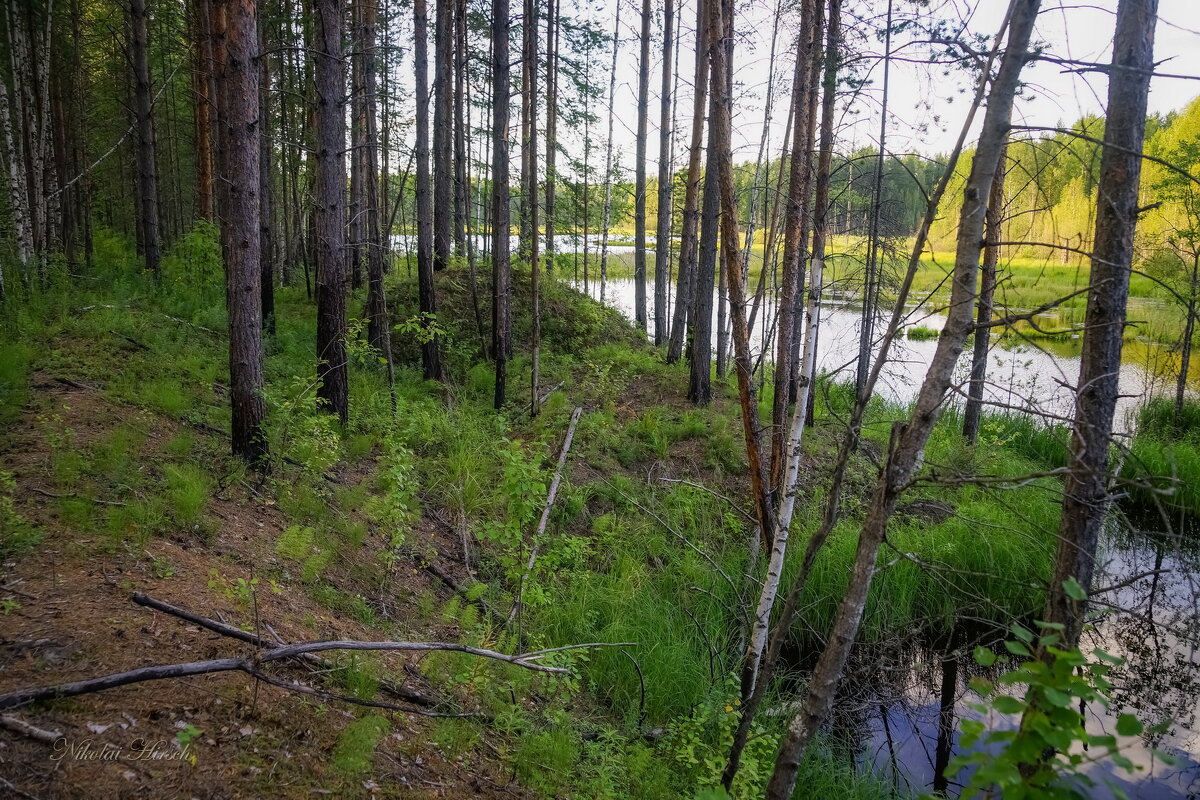 Непролазное место - Николай Гирш