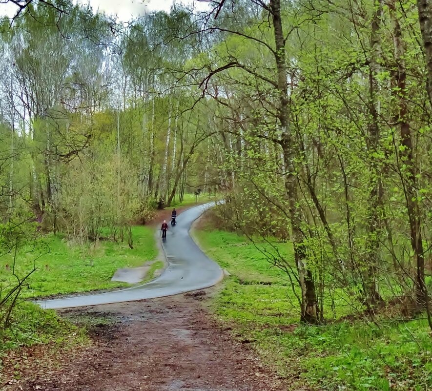 самокатчики на тропе - Валентина. .