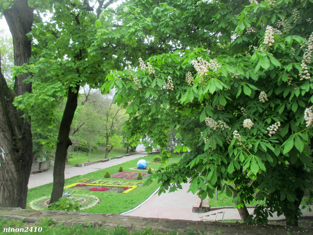 В городском парке - Нина Бутко