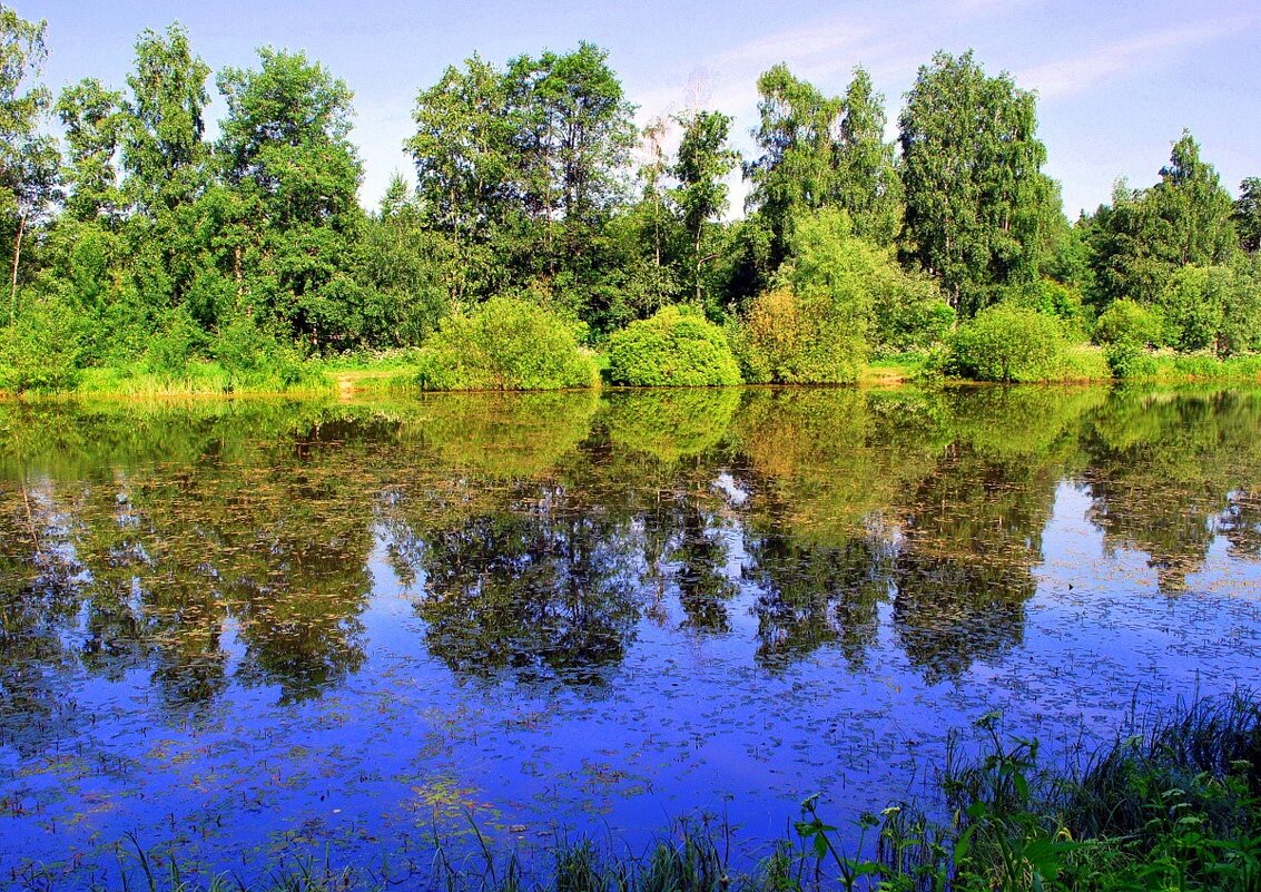 Лесное озеро - Ольга (crim41evp)