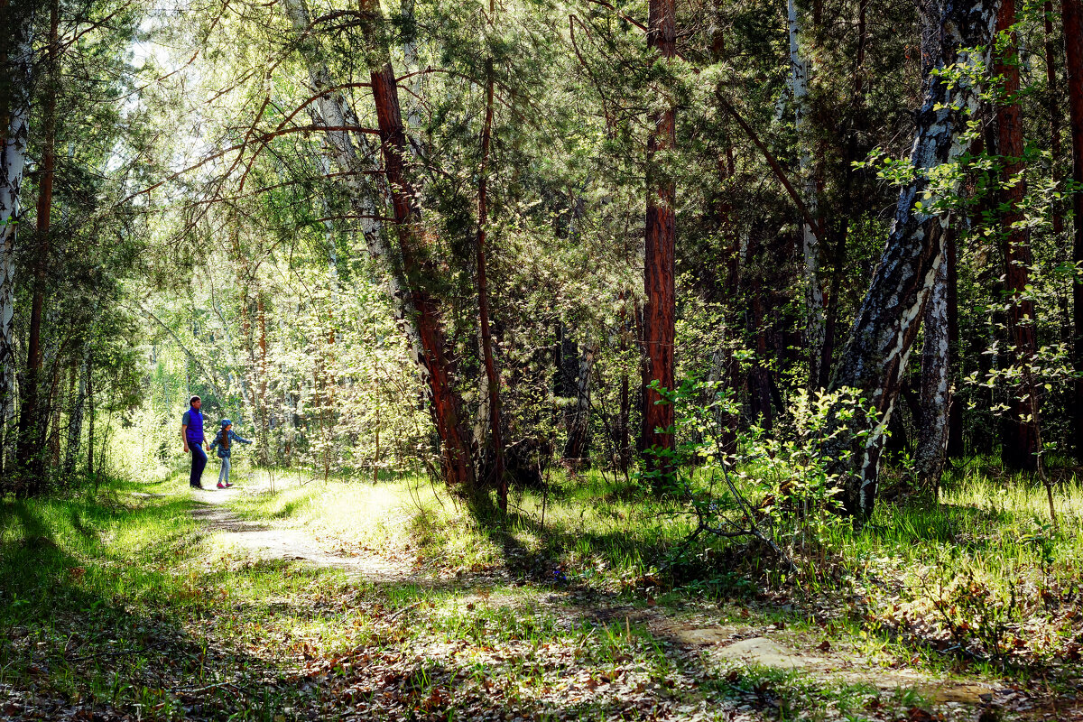 Прогулка по майскому лесу - Сергей Царёв