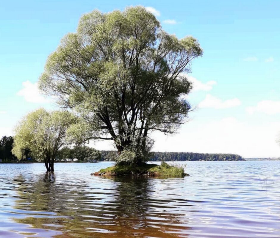 Весна на Плещееве озере - Елена 