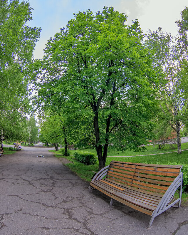 Лавочка в сквере - Михаил Соколов