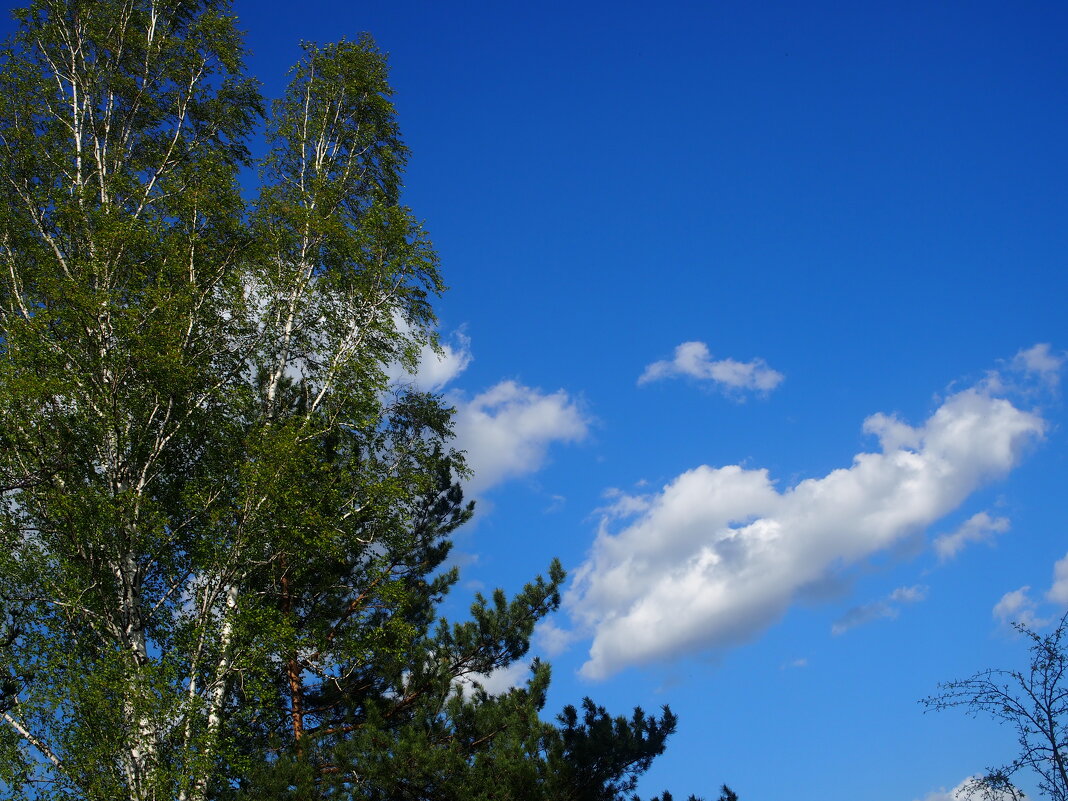 Синее небо а в нем облака - Борис 