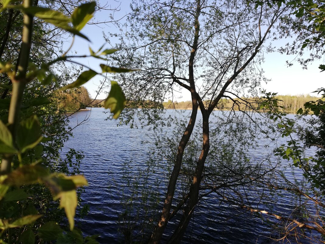 Озеро в Беларуси - Юлия 