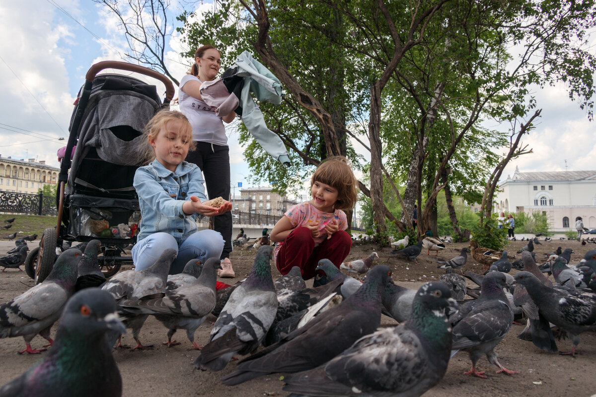 Дети и голуби - Валерий Михмель 
