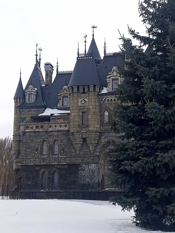 Настоящий рыцарский замок в селе Хрящевка Самарской области. - Марина Валиуллина