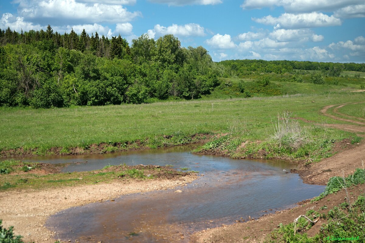 Не зная броду, не суйся в воду... - Андрей Заломленков