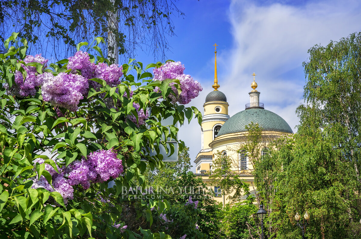 Сирень - Юлия Батурина