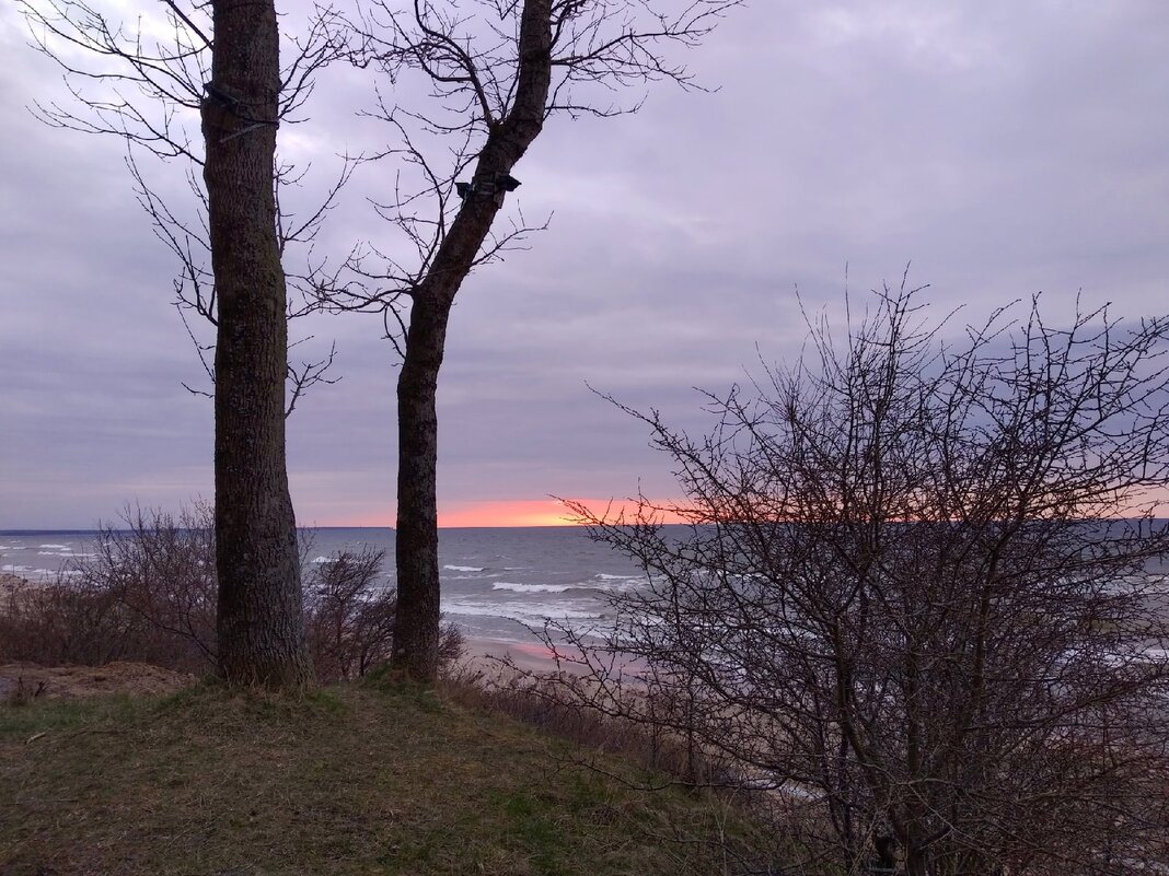 Закат на Балтийском море - Елена Красильникова