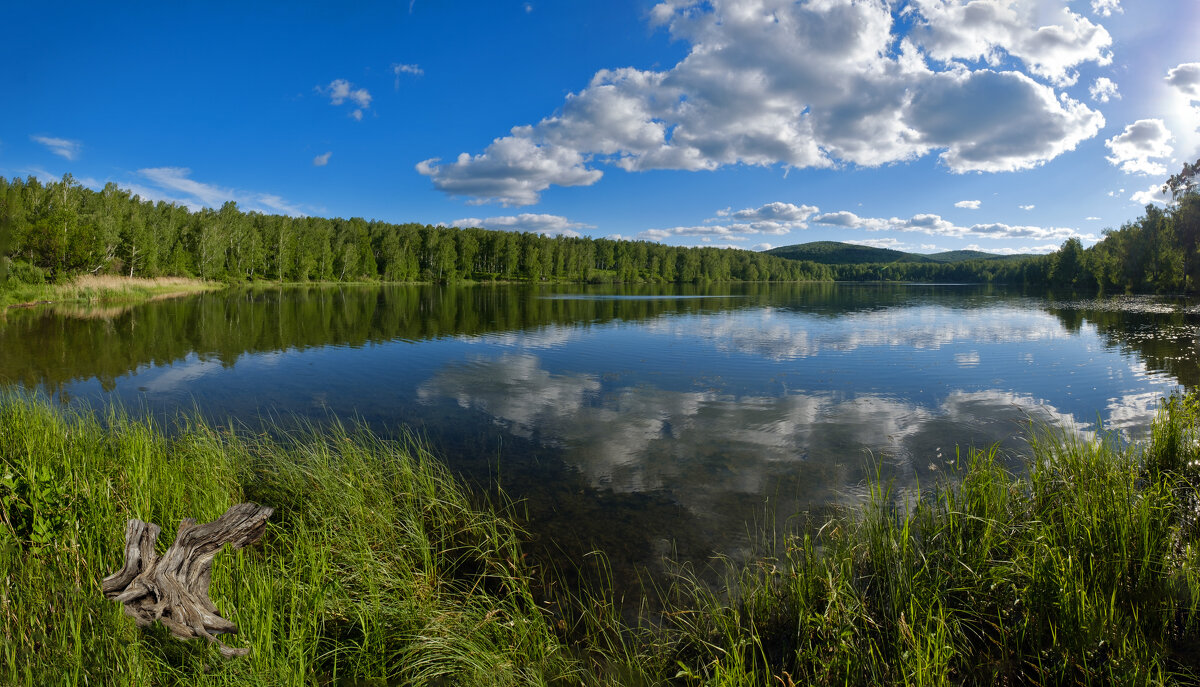 Панорама - Алексей Мезенцев