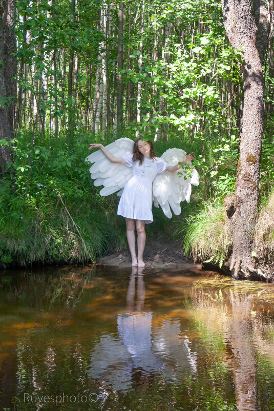Ангел в лесу - Руслан Веселов