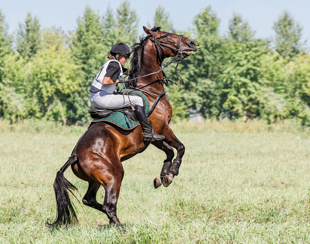 Кросс - SanSan 