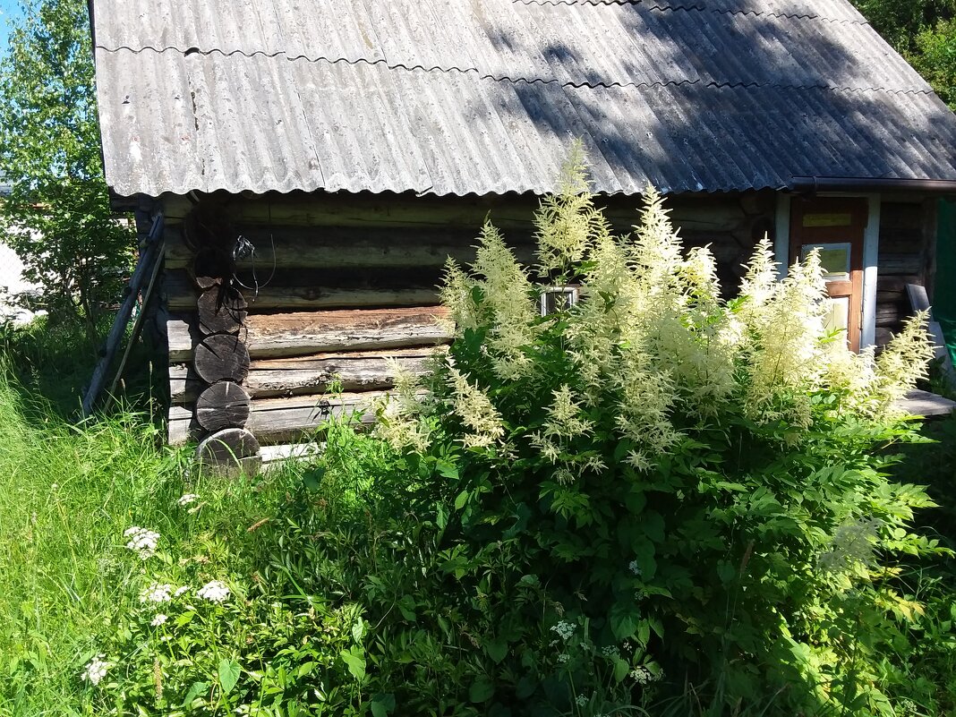 БАНЯ  В ДЕРЕВНЕ - Виктор Елисеев