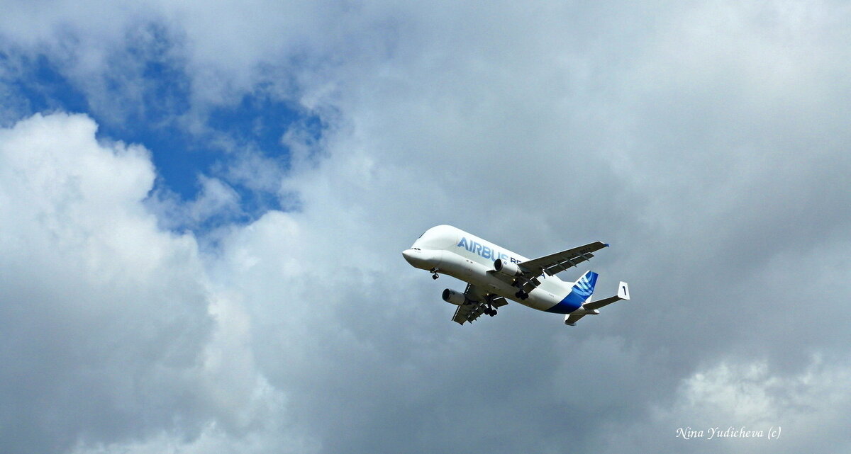 AIRBUS BELUGA - Nina Yudicheva