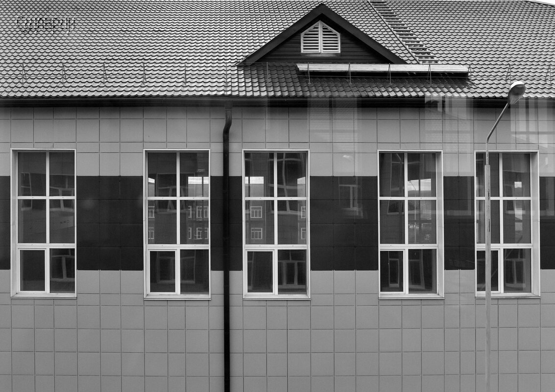 Окна за окнами - Сергей Шаврин