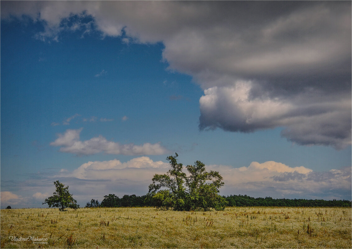 "Крылатые облака над цветочным полем"© - Владимир Макаров