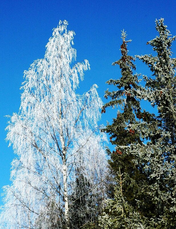 Немного прохлады в жаркий день.... - ГЕНРИХ 