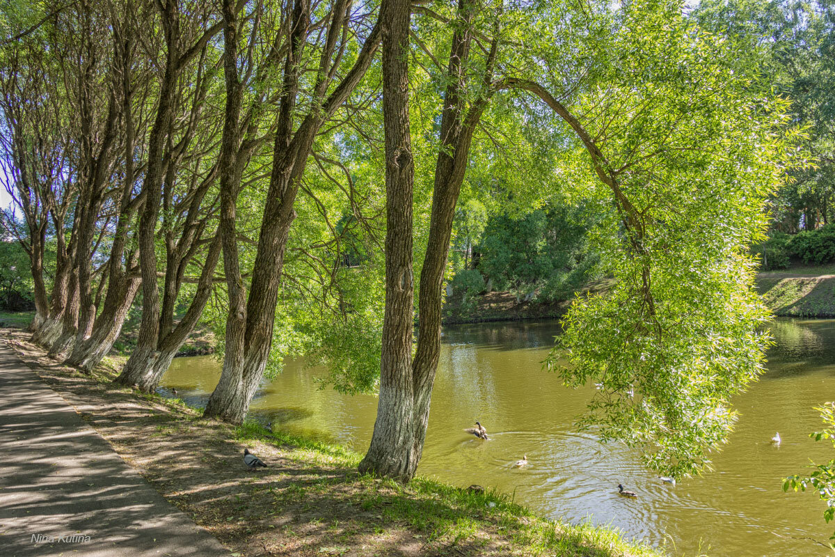 В парке - Нина Кутина