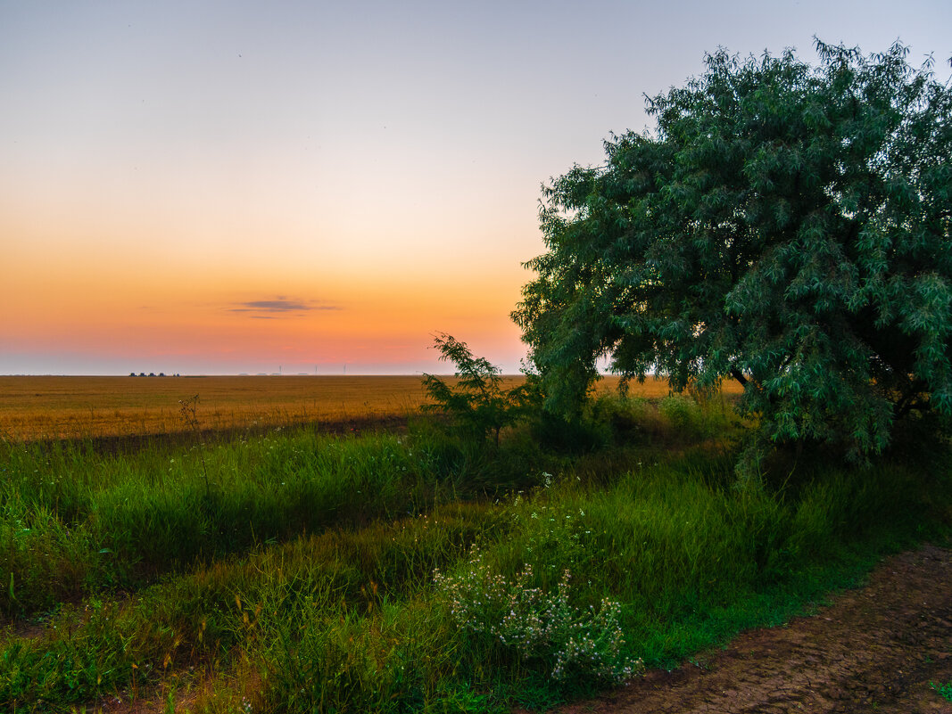 Летний восход солнца в крымской степи. - Андрей Козлов