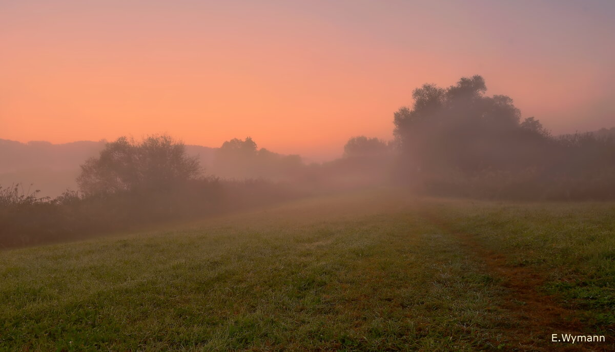 misty morning - Elena Wymann