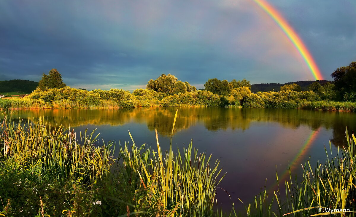 summer with a rainbow - Elena Wymann