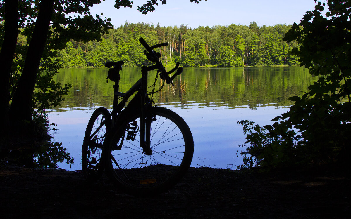 Лето, озеро, велосипед - Дмитрий Балашов