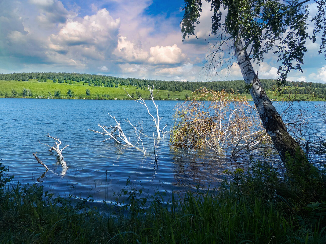 *** - Алексей Мезенцев