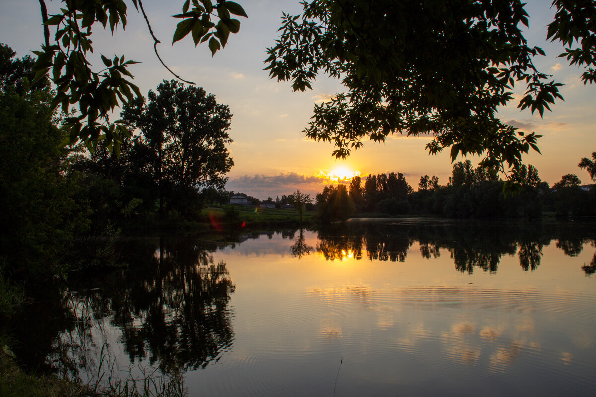 Evening red sunset over the pond - IvanShcherbanyuk 