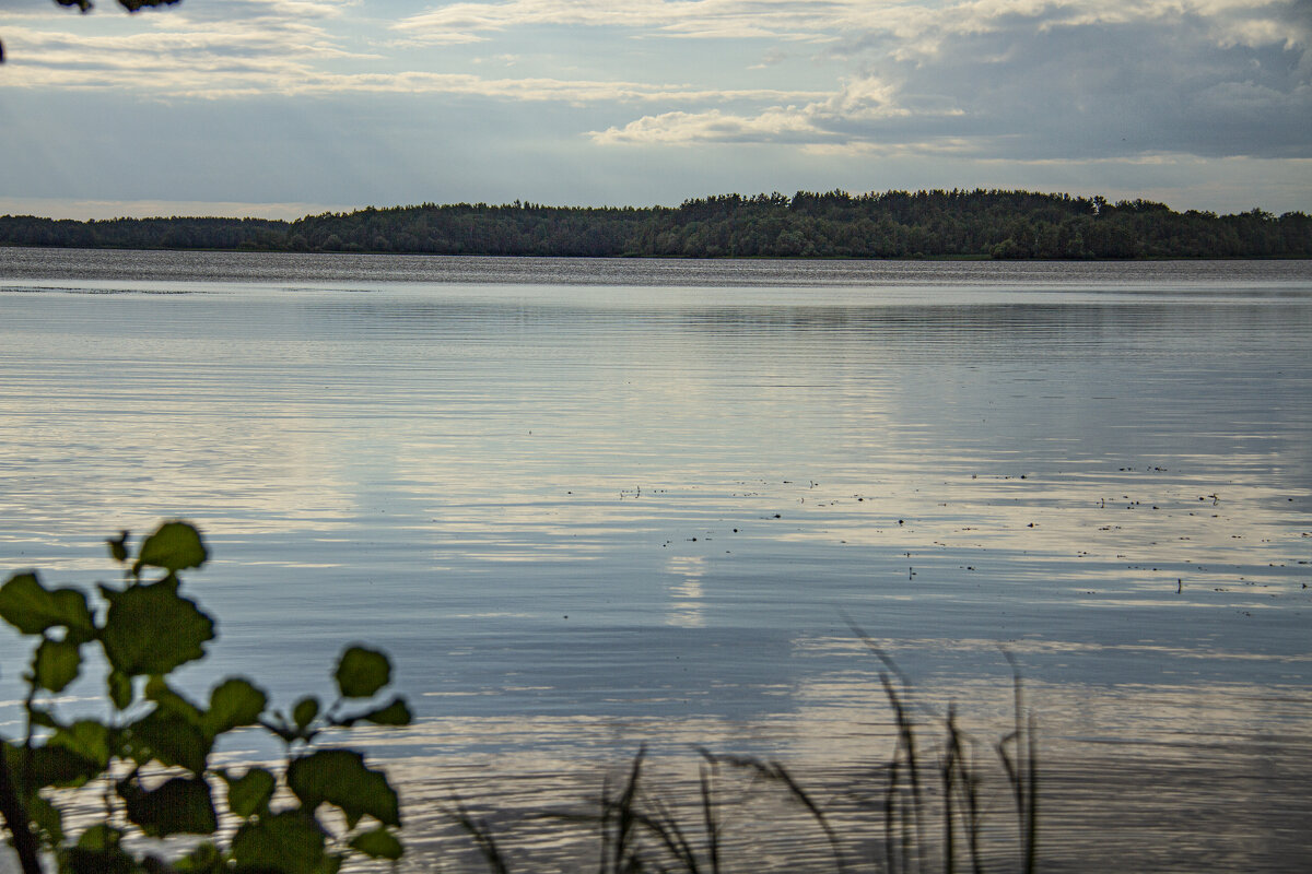 Озеро Жижицкое - Надежда Щербакова