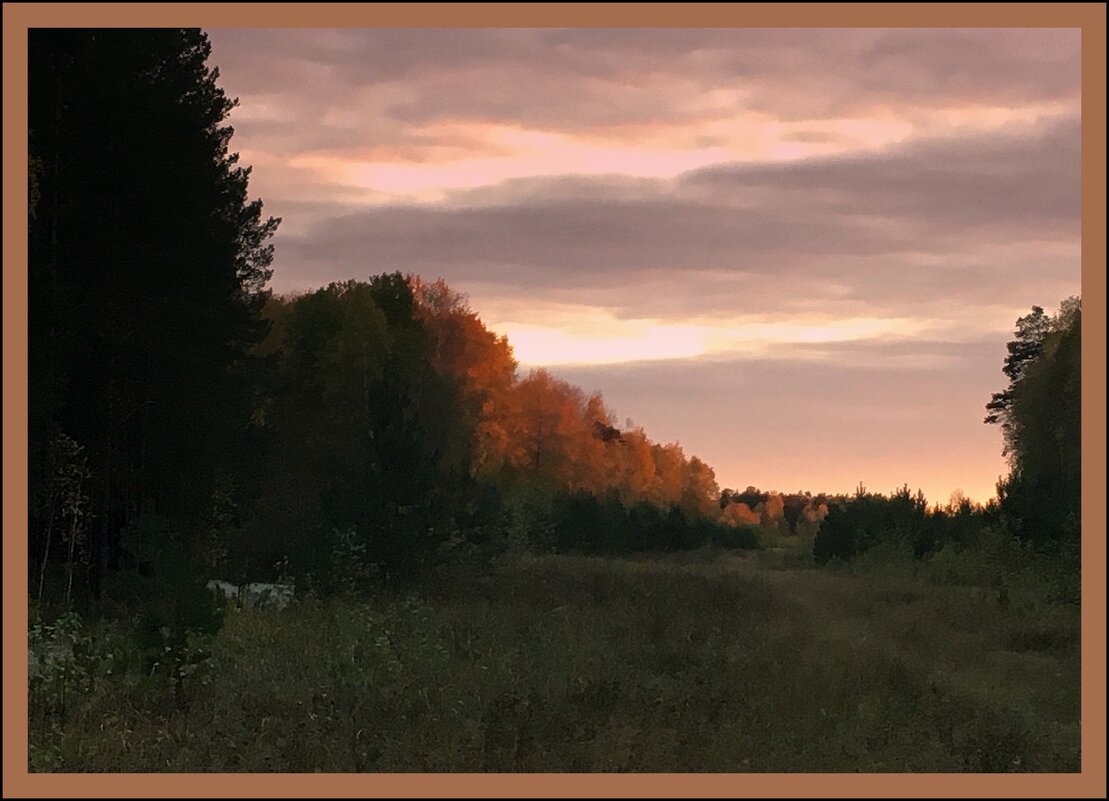 Ранняя осень, самое грибное время... - Юрий Налобин