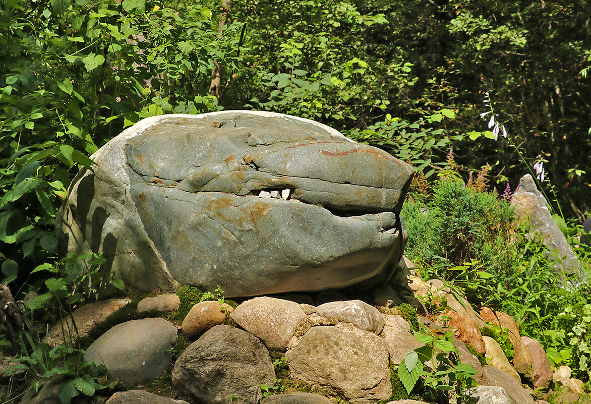 Каменный крокодил - Светлана 