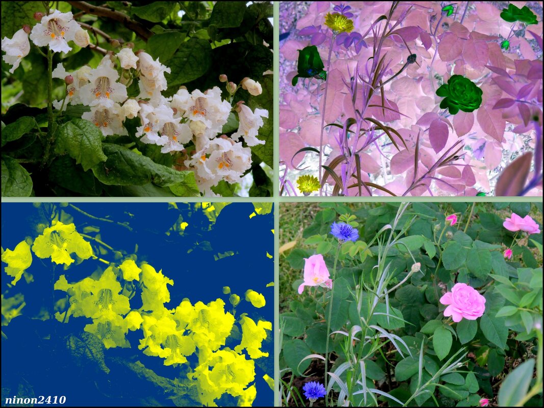 Разноцветье весны - Нина Бутко
