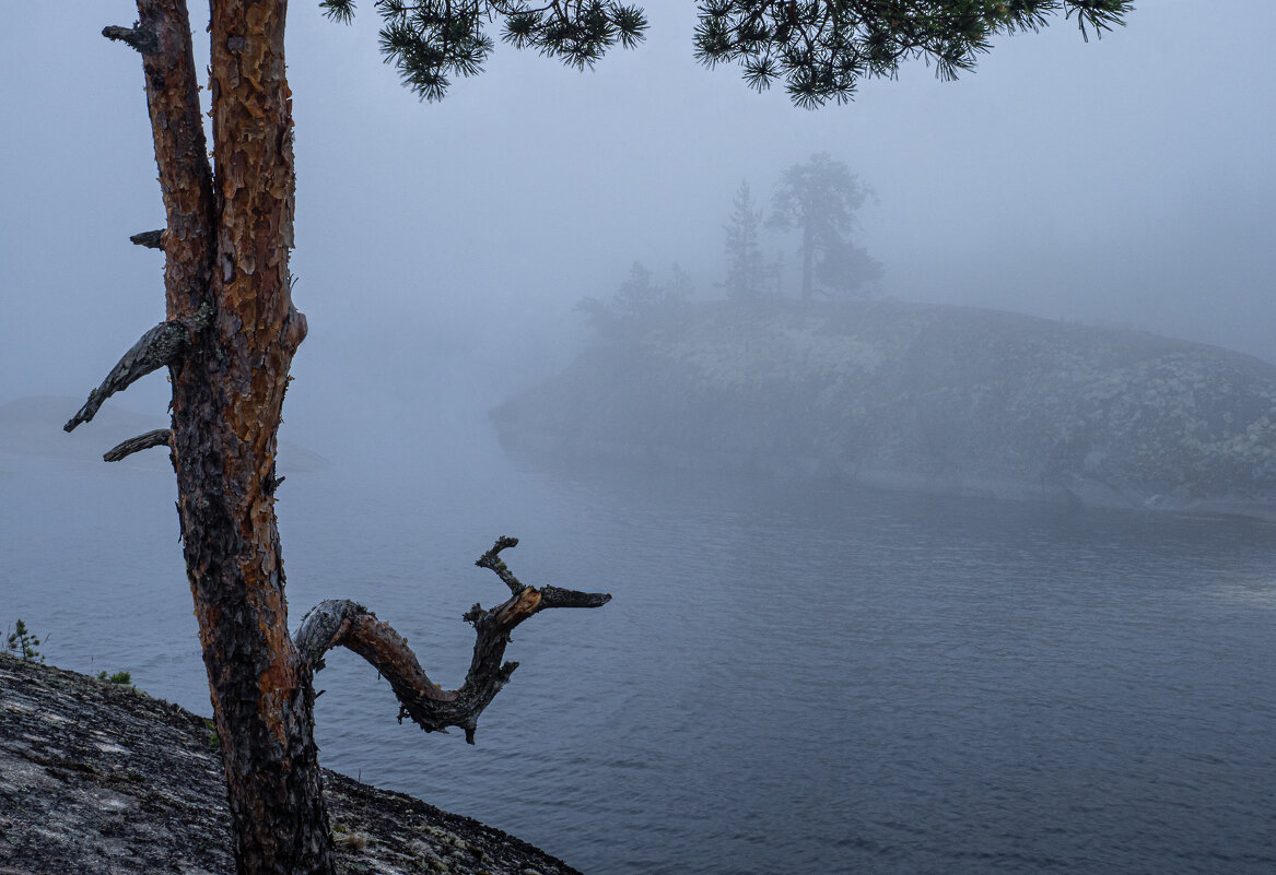 Три гудка в тумане. - Сергей Мартьяхин