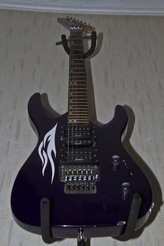 my guitar - lev makhnev