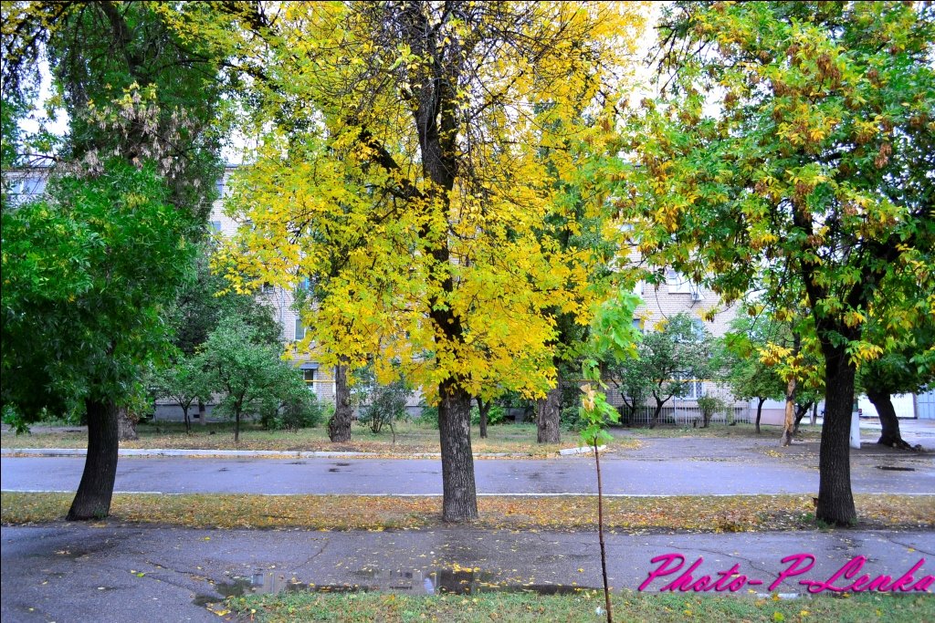 Осень - Елена 