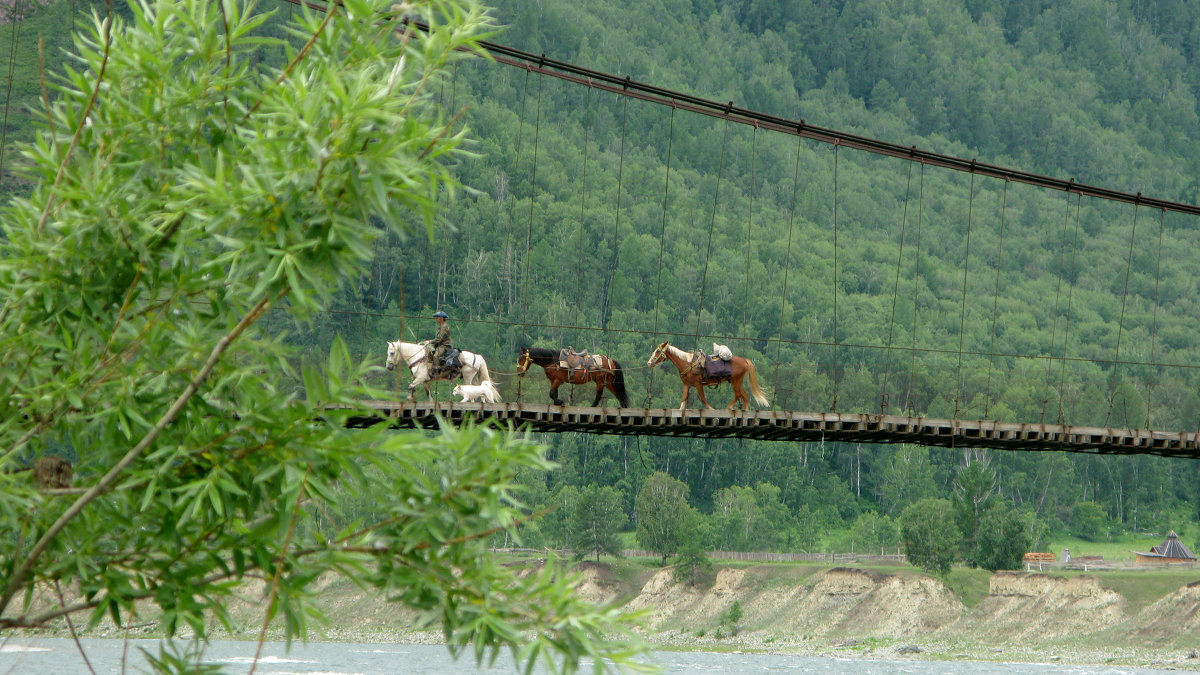 Мост через реку Кучерла возле села Тюнгур - Александр Шведов