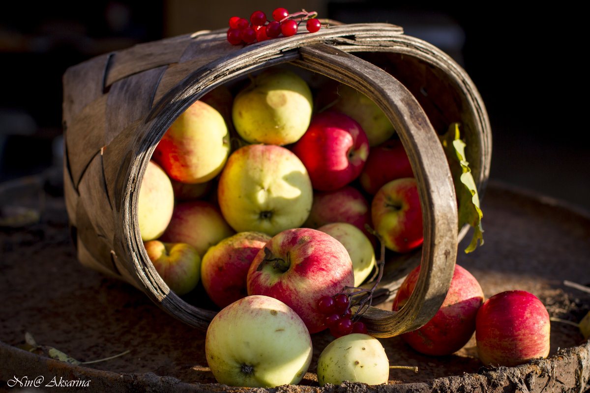 корзинка с яблоками - Нина Калитеева