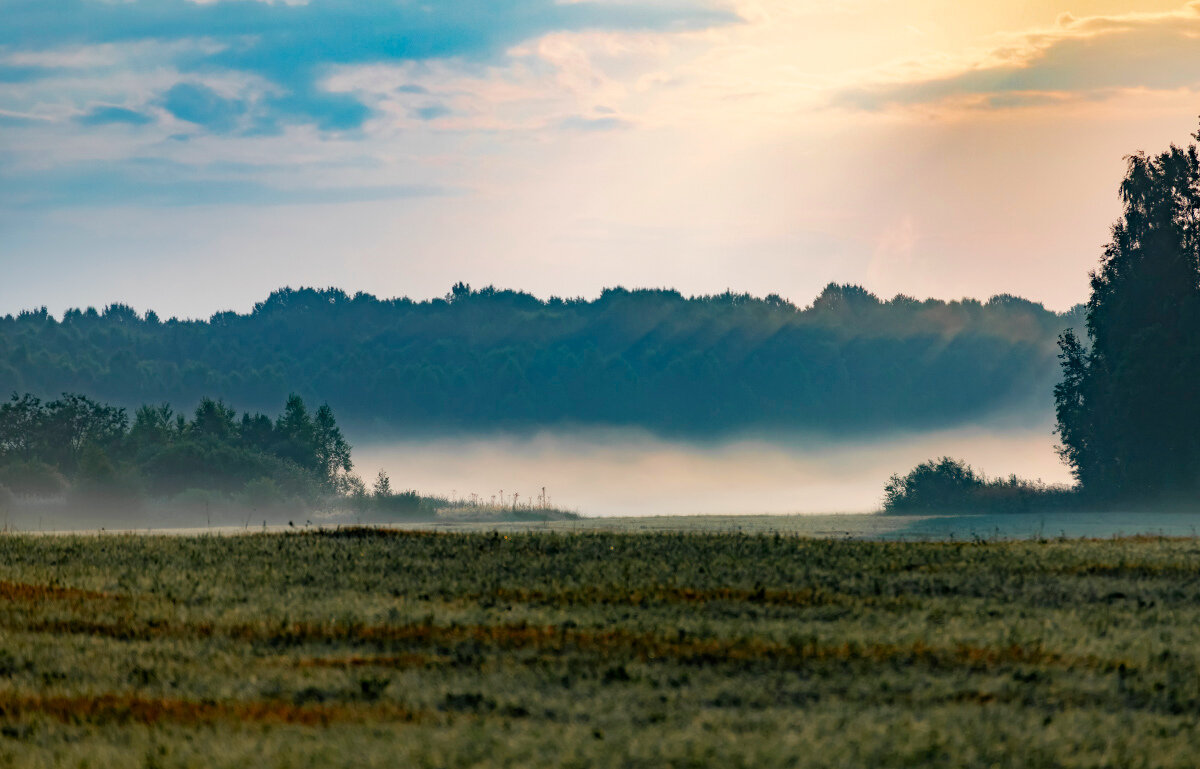 *** - Александр 