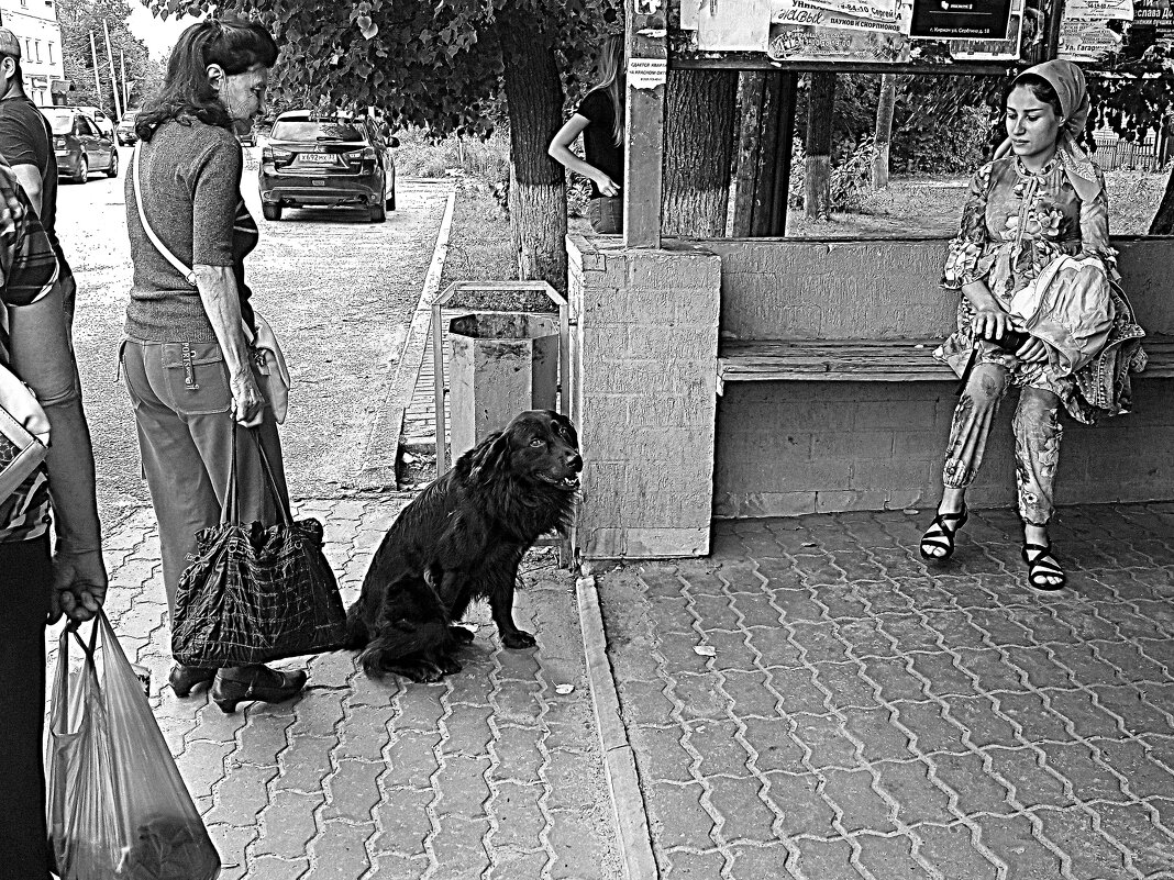 и нам сочувствие даётся.. - Любовь 