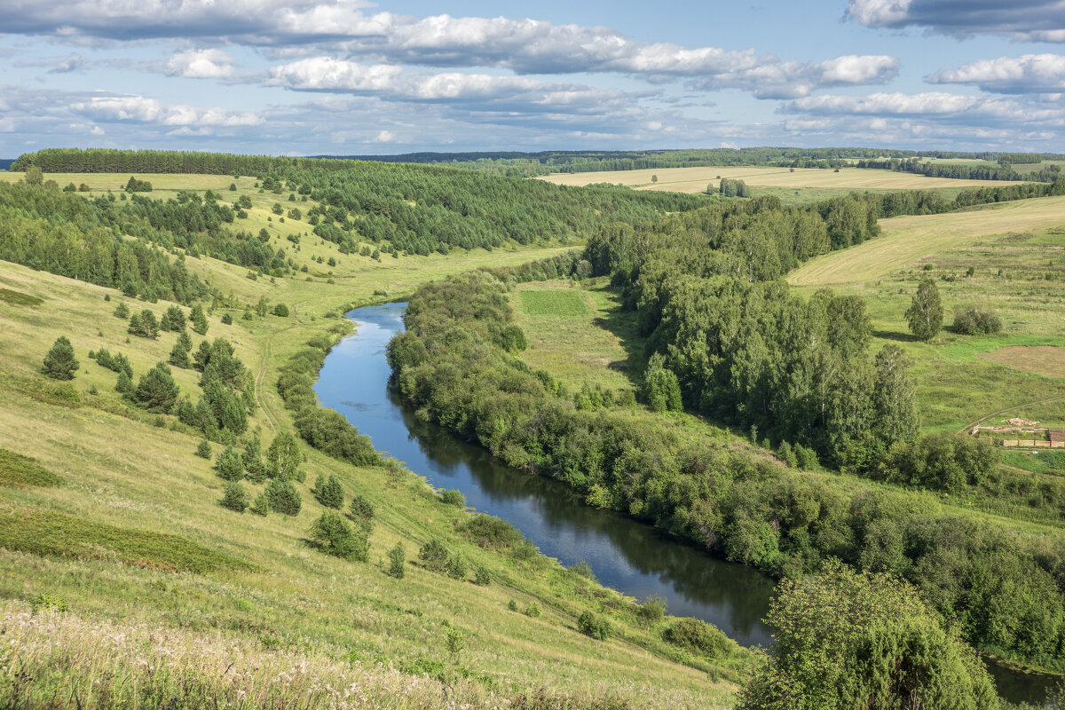 Река Шаква - Алексей Сметкин