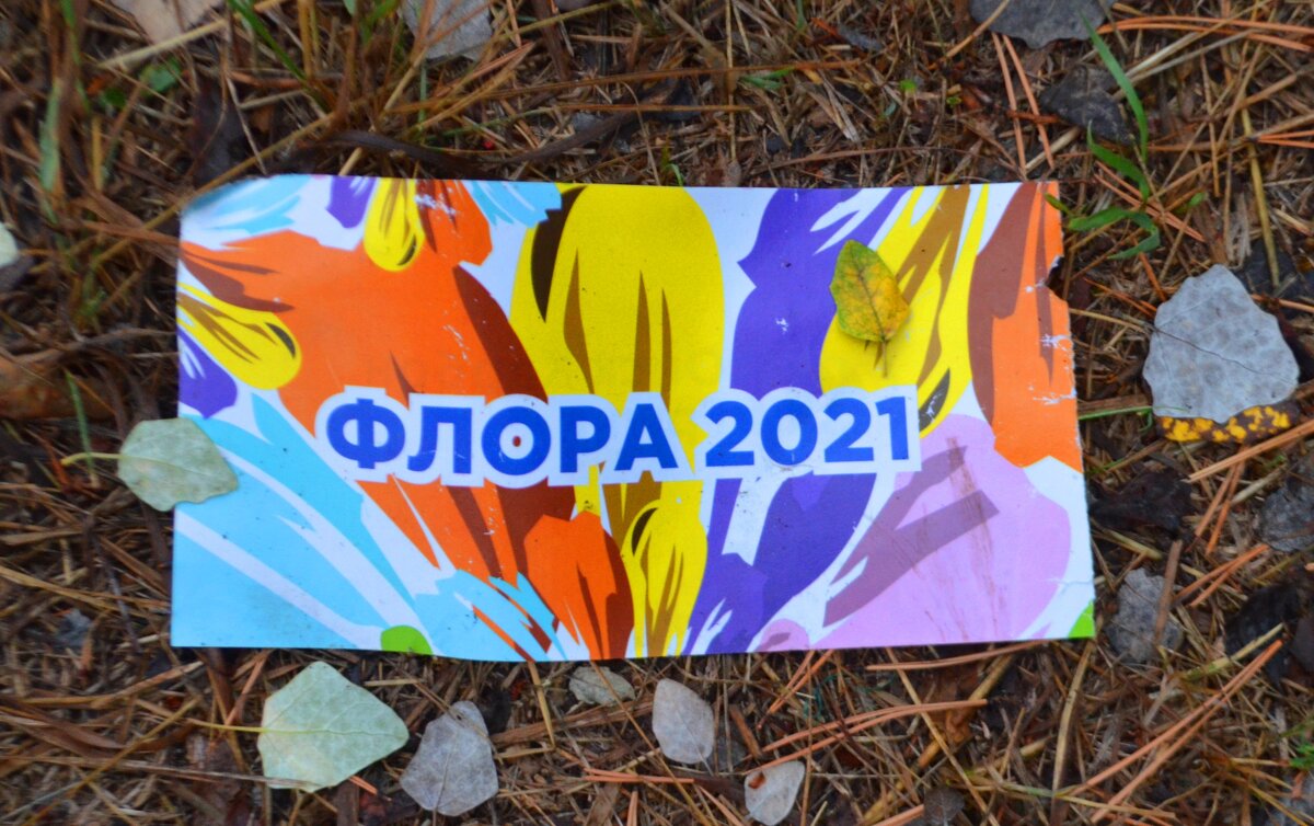 В Омске проходит выставка «Флора», 6 августа 2021 года - Savayr 