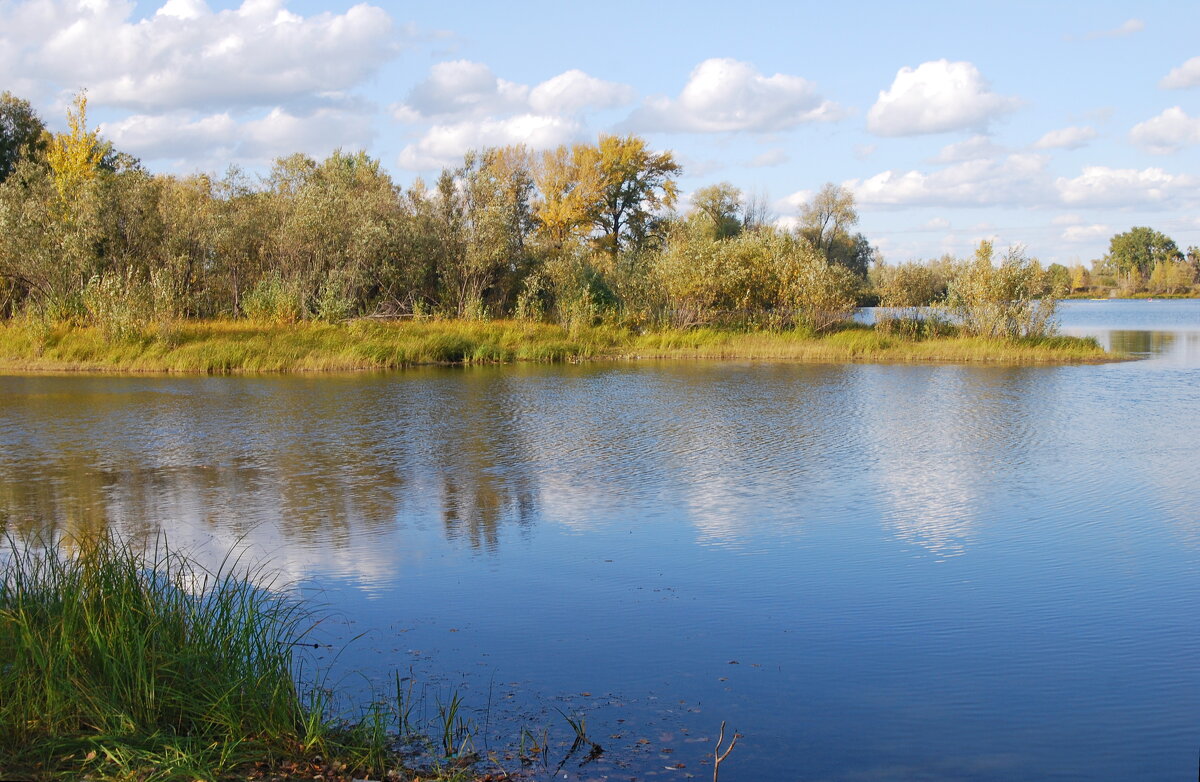 осень - nataly-teplyakov 