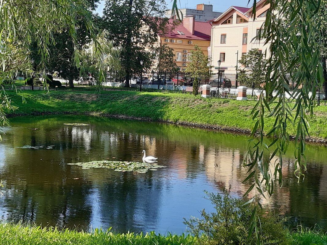 А белый лебедь на пруду... - Нина Андронова