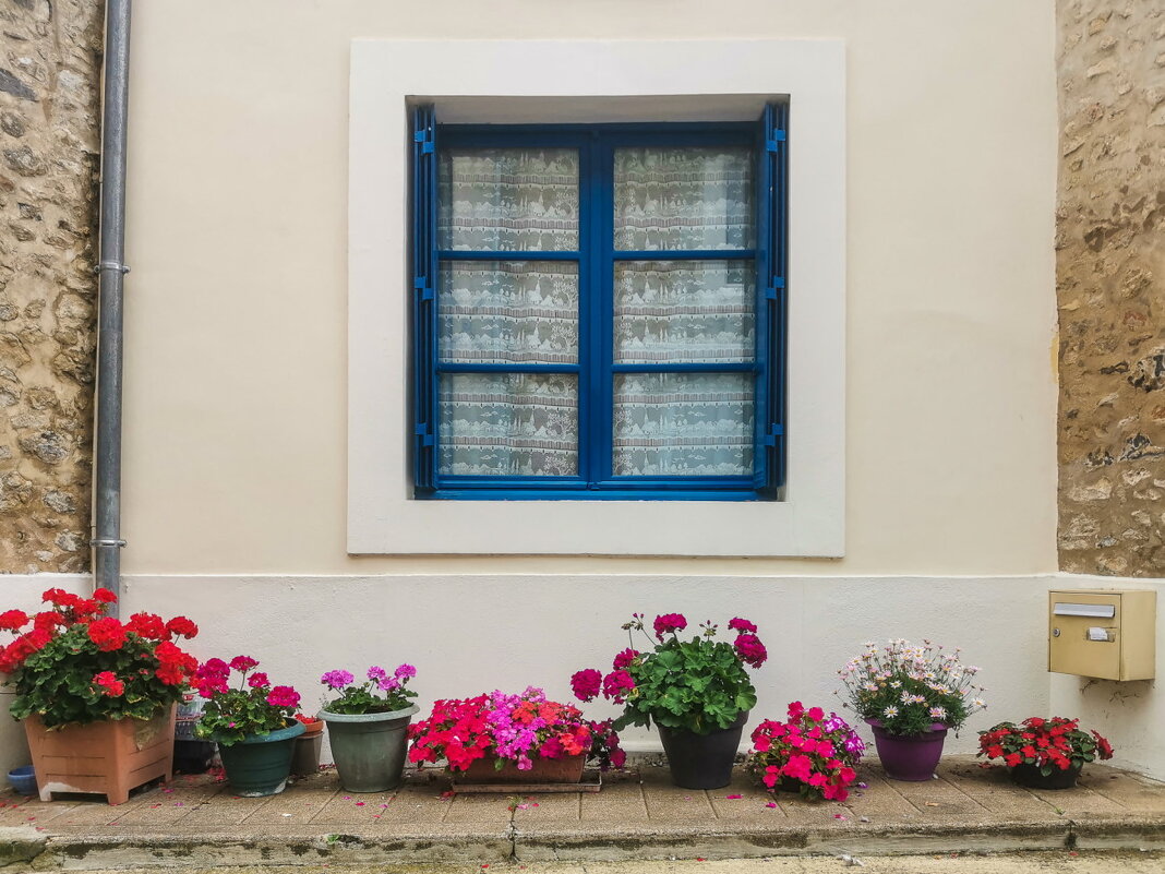 дом с цветами на улице - Георгий А
