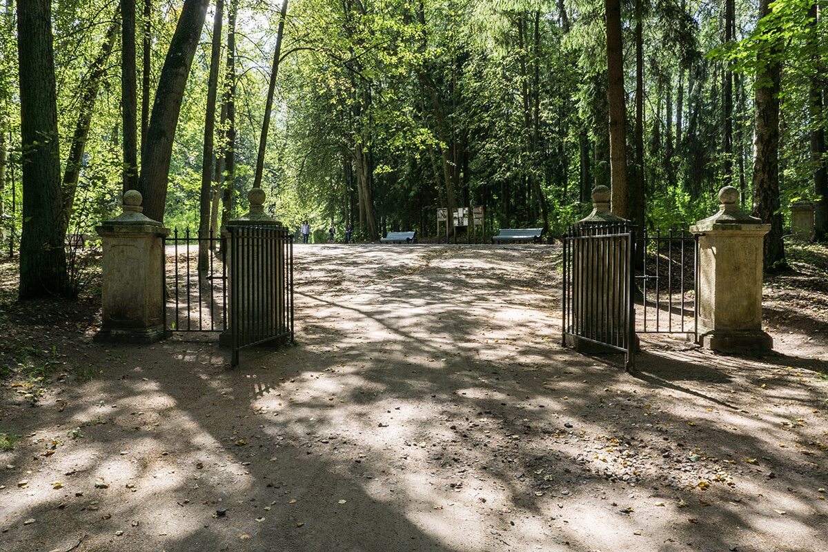 Ворота в старый парк - Ирина Соловьёва