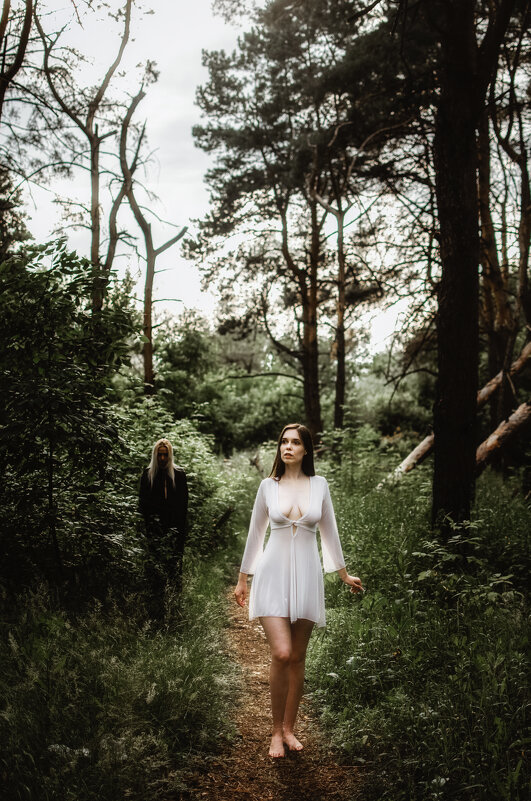 The Mystical Woods - Виталий Шевченко