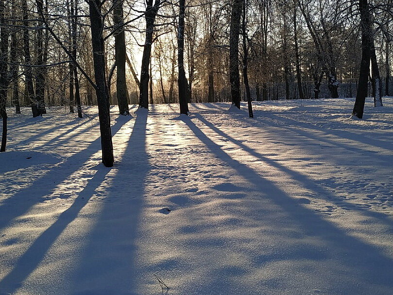 Так тих и светел зимний лес........ - Tatiana Markova