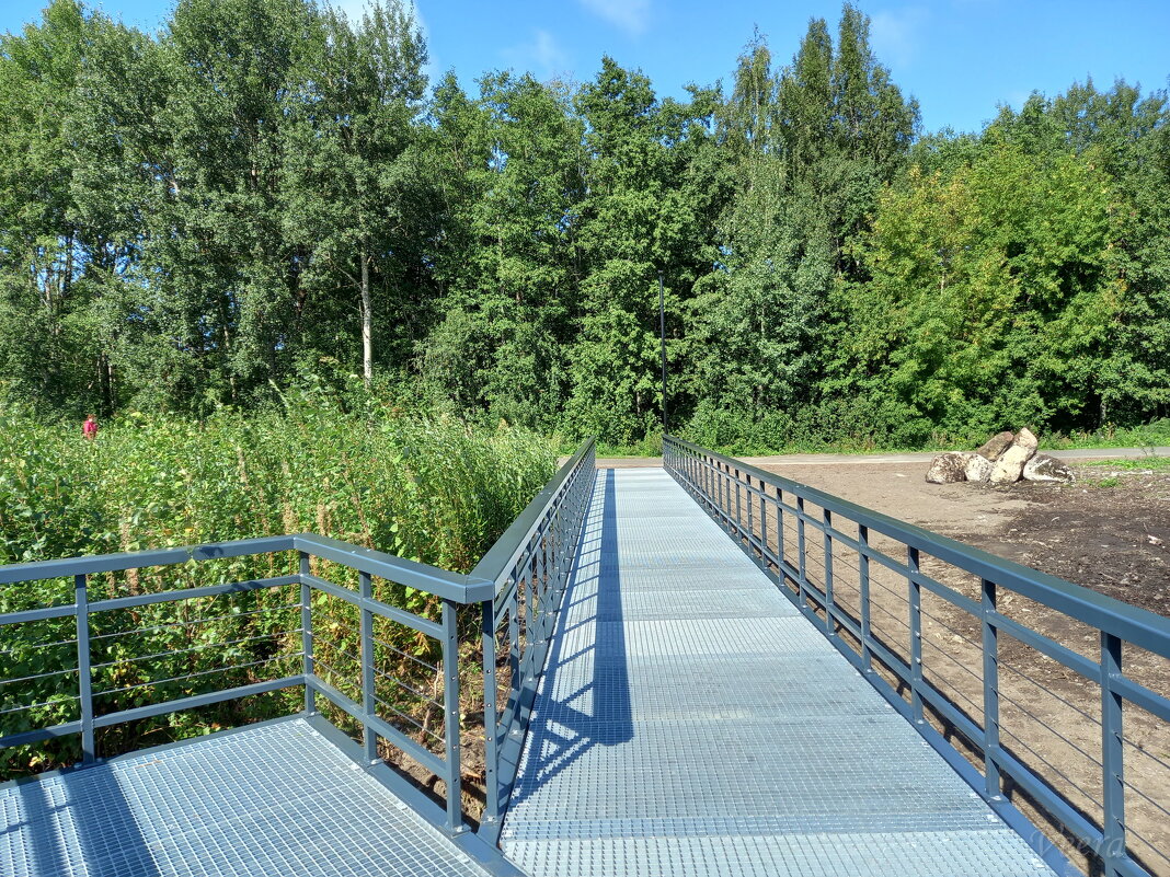 Мосты в парке - veera v