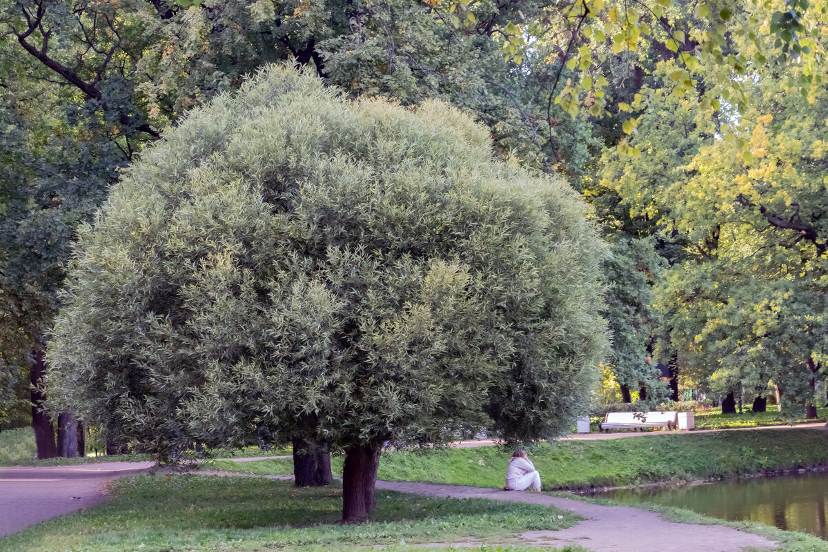 в Таврическом саду - navalon M